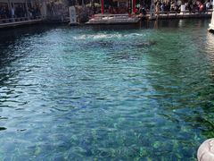 -趵突泉景区