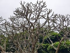 -南宁南湖公园
