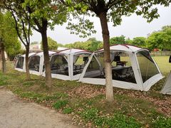 -田园东方蜜桃村的田野营地