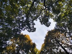 -食膳公园包子铺(烈士公园店)