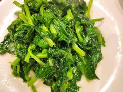 酒香豆苗-老吉士酒家(天平路店)