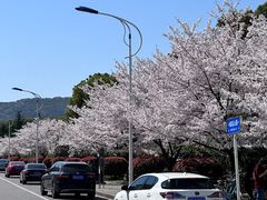 -江南大学(蠡湖校区)