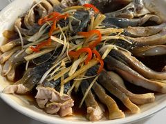 -煲来饱去冷水鱼