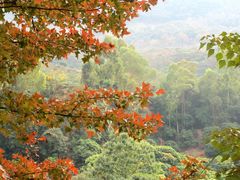 -广州市石门国家森林公园