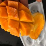 宝贝最喜欢的甜品   芒果椰奶兔子布丁