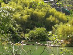 -夏霖九天银瀑风景区
