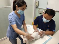 -纳吉亚猫专科动物医院博雅分院