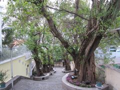 -龙环葡韵住宅式博物馆