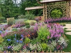 -上海共青森林公园