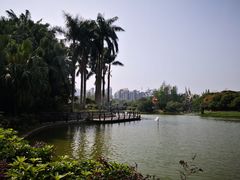 -四海公园(南山区)