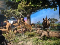 -国家自然博物馆