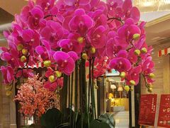 -上海小南国(国发店)