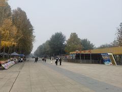 -石家庄市植物园