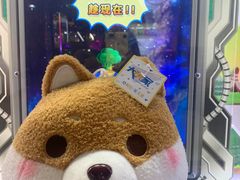 -直通车欢聚中心(崇州万达店)