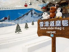 -长沙湘江冰雪世界