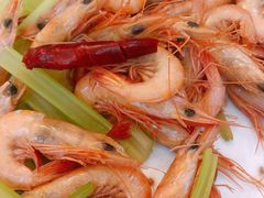 白灼虾-江南村海鲜馆(洞头店)