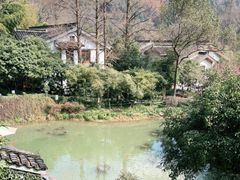 -嘉龙茶庄