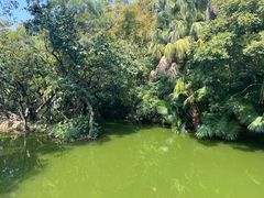 -人民公园(罗湖区)