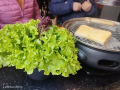 -四斤烤肉(东戴河孟家店)