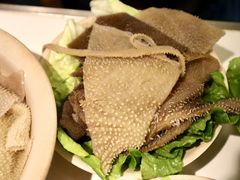 -朱氏胖子烂火锅(洪崖洞店)