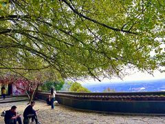 -大慈岩风景区