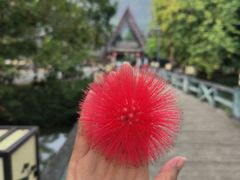 -明仕田园