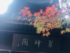 -杭州半山国家森林公园