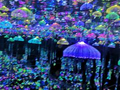 -天津梵高星空艺术馆(天河城旗舰店)