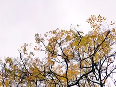 -明谷行馆·温泉