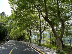 -庐山风景区花径公园