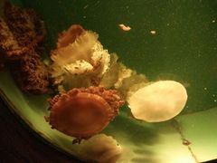 -常州海昌海洋探索馆