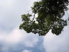 IMG_0003-榖屋house of flour(张江首店)