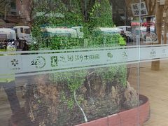 -思泊湖牛肉面(兰州总店)
