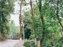 -缙云山景区