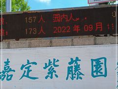 -嘉定紫藤园