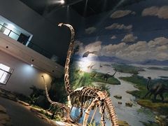 -自贡恐龙博物馆