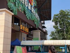 -苏州乐园森林水世界