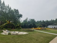 -东平国家森林公园