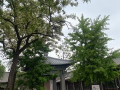 -护国法轮寺
