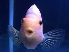 -海南热带野生动植物园