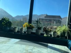 -玫瑰西餐厅.意面披萨.牛排咖啡