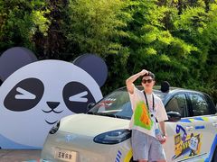 -灵玲国际马戏城