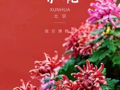 -故宫博物院(故宫)