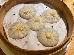 -庆春朴门