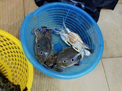 -春园海鲜广场D区6号(钟姐海鲜加工店)