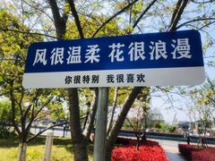 -高东镇樱花园