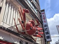 -蟹道乐(道顿堀本店)