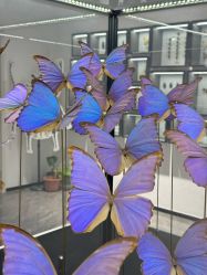 -酷嗒动物文化乐园(cutezoo西溪乐天城店)