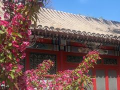 -元大都城垣遗址公园