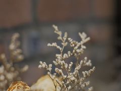 -远山有窑